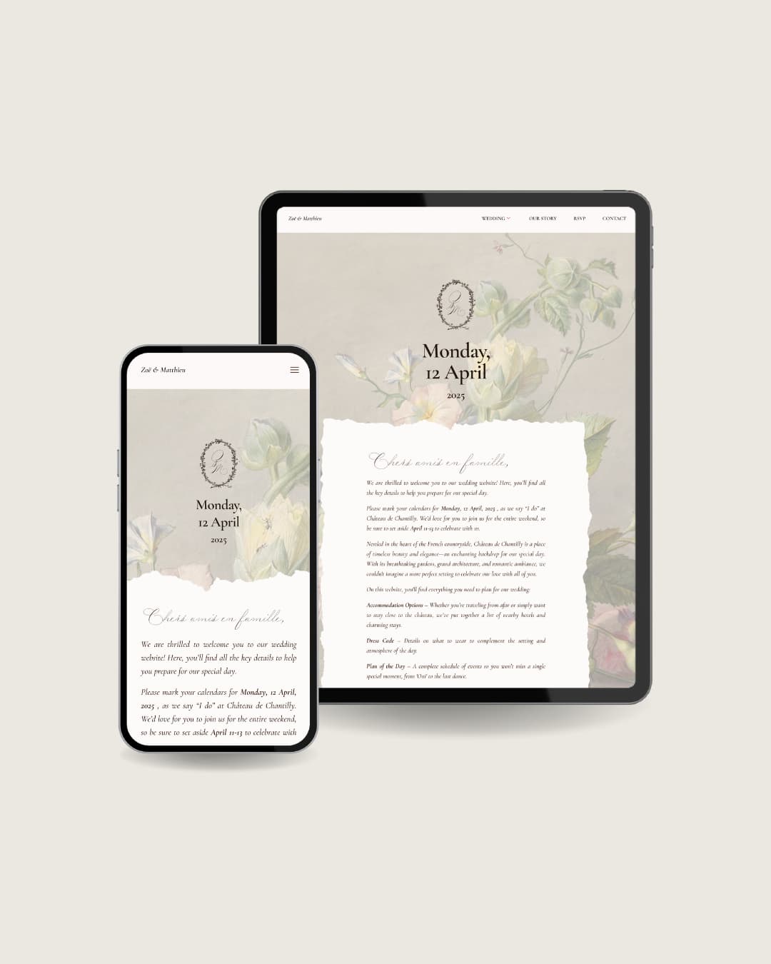 Portfolio item 12