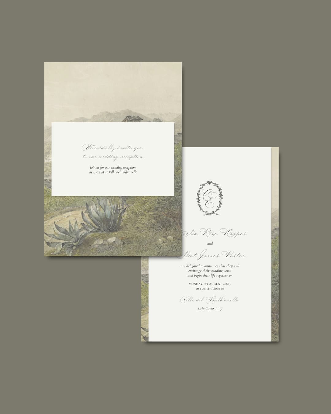 Portfolio item 3